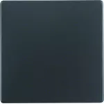 Q.x Klawisz do łącznika 1-klawiszowego, antracyt, aksamit