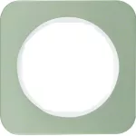 R.1 Ramka 1-krotna, stal szlachetna/biały