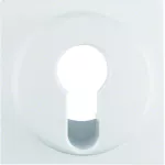 Q.1/Q.3 Płytka czołowa do łącznika na klucz, biały, aksamit