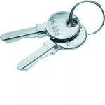 univers Klucz zapasowy do zamków FZ531N+FZ533N 1333 IP44/IP54