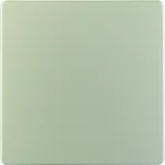 Płytka centralna do przyłącza czujników, stal szlachetna, lakierowana