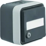 W.1 Gniazdo SCHUKO 2P+Z na klucz, p. opis., równe zamki, kompletne, IP55, szary