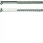 Berker TS Śruba z dwoma otworami M3,5 x 50 mm, chrom