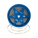 8W Taśma LED / Chip CREE / Barwa:6500K / IP20 / Zasilanie: 24V / Wzmocniony podkład PCB / Rolka:10m / 6 Lat gwarancji