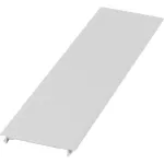 XAS12 Zaślepka na wolne pole do aparatury modułowej (12 mod.)