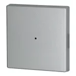 CWIZ-01/03-LED klawisz poj. srebrny z otworem na LED - 55x55mm