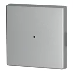 CWIZ-01/03-LED klawisz poj. srebrny z otworem na LED - 55x55mm