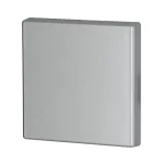 CWIZ-01/03 klawisz poj. srebrny - 55x55mm