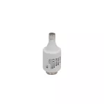 10D27 Wkładka DII 10A T GL/GG 500VAC E27