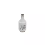 10D27 Wkładka DII 10A T GL/GG 500VAC E27