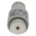 63D33R Wkładka DIII 63A F GR 500VAC E33