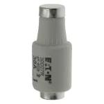 30D27R Wkładka DII 30A F GR 500VAC E27