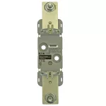 SD2-D-PV NH2 SINGLE POLE PV