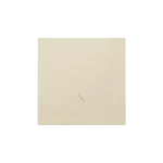 Simon 55 WMDL-K016xx-144 Klawisz pojedynczy z piktogramem "schody" do: SW6M; Szampański mat