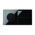 Simon 100 W100-10020193x-138 Panel 2-krotny IP44: 1 gniazdo + 2 klawisze; czarny