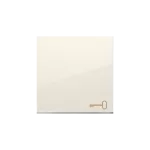 Simon 54 WMDL-K1xxKx-041 Klawisz pojedynczy z piktogramem klucza do łączników/przycisków; kremowy