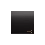 Simon 54 WMDL-K1xxKx-048 Klawisz pojedynczy z piktogramem klucza do łączników/przycisków; antracyt