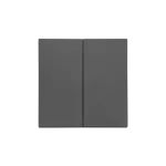 Simon 55 WMDL-K0x6xx-116 Klawisz podwójny do: SZP2M, SZW2M; Grafitowy mat