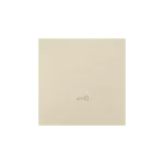 Simon 55 WMDL-K0x3xx-144 Klawisz pojedynczy z piktogramem „klucz” do łączników/przycisków; Szampański mat