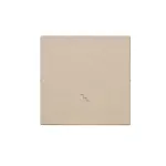 Simon 55 WMDL-K016xx-144 Klawisz pojedynczy z piktogramem "schody" do: SW6M; Szampański mat