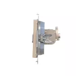 Simon 55 WMDA-P93xx5-144 Gniazdo komputerowe pojedyncze RJ45 kategoria 6, ekranowane z przesłoną przeciwkurzową (moduł); Szampański mat