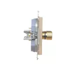 Simon 55 WMDK-16105J-144 Gniazdo głośnikowe pojedyncze (moduł). Przekrój przewodów dla wyjścia do 6 mm2; Szampański mat