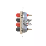 Simon 55 WMDG-01300x-144 Gniazdo głośnikowe 4-krotne (moduł). Przekrój przewodów dla wejścia i wyjścia 2,5 mm2; Szampański mat