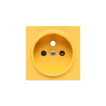 Simon 55 WMDW-P01111-134 Pokrywa gniazda wtyczkowego pojedynczego do: SGZ1CM, SGZ1M; Pomarańczowy