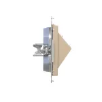 Simon 55 WMDA-P97xx7-144 Pokrywa gniazd teleinformatycznych na Keystone skośna podwójna z polem opisowym (moduł); Szampański mat