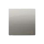 Simon Basic WMUL-K1xxK-H011 Klawisz pojedynczy z piktogramem klucza; satynowy