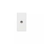 Simon Connect TSC-K123B-9 Płytka K45/2 gniazda mini-jack 22,5x45mm + wkład; zaciski śrubowe; czysta biel