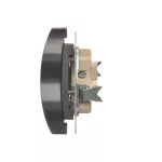 Simon 54 Nature WMDW-0020NM-048 Gniazdo wtyczkowe bez uziemienia z przesłonami podwójne do ramek NATURE (moduł) 16A, 250V~, zaciski śrubowe; antracyt