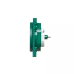 Simon 55 WMDW-P01111-133AB Pokrywa gniazda wtyczkowego pojedynczego do: SGZ1CM, SGZ1M; Antybakteryjny; Zielony