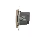 Simon 54 WMDZ-C2USBx-044 Ładowarka 2 x USB (moduł), 2.1 A, 5V DC, 230V; złoty mat