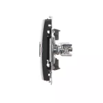 Simon Basic WMUE-012000-Y013 Gniazdo ekwipotencjalne podwójne (moduł); czarny