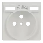 Simon 82 W8-200168-30x-xxxx Pokrywa do gniazda z ładowarką USB A+A; biały