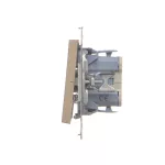 Simon 55 WMDA-20xxxx-144 Przycisk „światło” z podświetleniem LED (moduł) 10 AX, 250 V~, szybkozłącza; Szampański mat