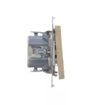 Simon 55 WMDA-20xxxx-144 Przycisk „światło” z podświetleniem LED (moduł) 10 AX, 250 V~, szybkozłącza; Szampański mat