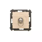 Simon 55 WMDL-0K011x-144 Łącznik na kluczyk jednobiegunowy (moduł) 2 pozycyjny „0-I” styk N/O, 5 A, 250 V~; Szampański mat