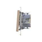 Simon 55 WMDL-0P1xx4-144 Łącznik dwubiegunowy (moduł) 10 AX, 250 V~, szybkozłącza; Szampański mat