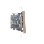 Simon 55 WMDL-0P1xx4-144 Łącznik dwubiegunowy (moduł) 10 AX, 250 V~, szybkozłącza; Szampański mat