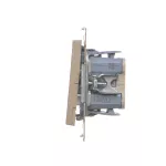 Simon 55 WMDL-TW6-2L2-144 Łącznik schodowy podwójny z podświetleniem – osobne podświetlenie dla każdego klawisza (moduł) 10 AX, 250 V~, szybkozłącza; Szampański mat