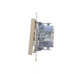 Simon 55 WMDL-0104Lx-144 Łącznik krzyżowy z podświetleniem LED – piktogram schody (moduł) 10 AX, 250 V~, szybkozłącza; Szampański mat