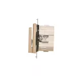 Simon 55 WMDL-TEWH1-144 Łącznik hotelowy elektroniczny z podświetleniem LED z przekaźnikiem 16 A, 230 V~, z opóźnieniem wyłączenia 10,20,30 sek. (moduł); Szampański mat