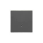 Simon 55 WMDL-K0X7XX-116 Klawisz pojedynczy z piktogramem "światło" do: SP1M; Grafitowy mat