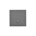 Simon 55 WMDL-K0X7LX-116 Klawisz pojedynczy z oczkiem z piktogramem "światło" do: SP1M; Grafitowy mat