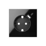 Simon 100 W100-10000050X-138 Pokrywa do gniazda Schuko z zintegrowaną ładowarką 1xUSB C; czarny