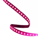 ORO STRIP 600L 2835 NWD BRIGHT PINK TAŚMA LED