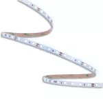 ORO STRIP SMD 12V/500LM/CW 50M Taśma LED