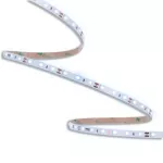 ORO STRIP SMD 24V/500LM/CW 50M TAŚMA LED